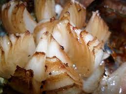 CEBOLA ASSADA